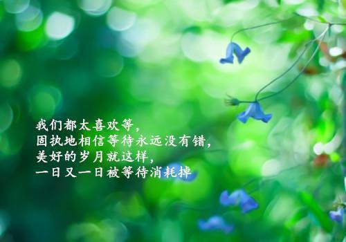 100条英语名人名言