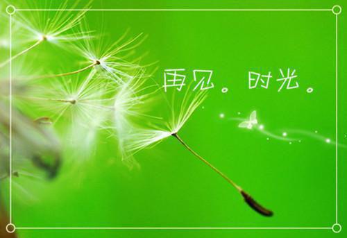 公司职工格个人辞职报告
