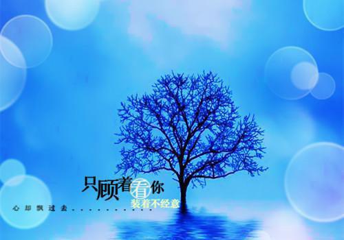 安全员辞职报告
