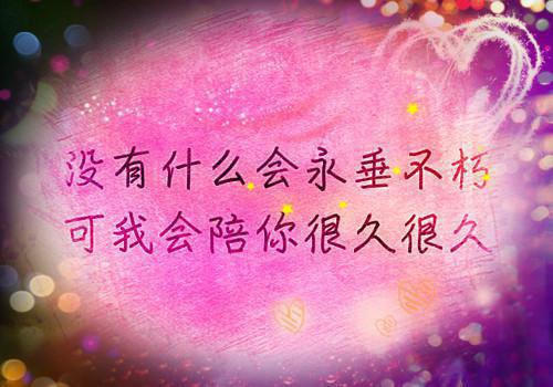 试用期工作总结及自我评价【精选4篇】