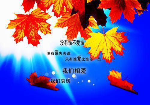 2023年基层党建工作述职报告3篇