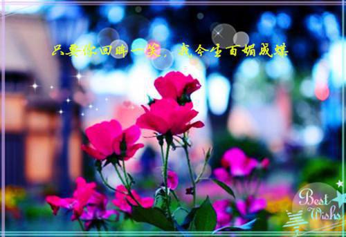 青山依旧在