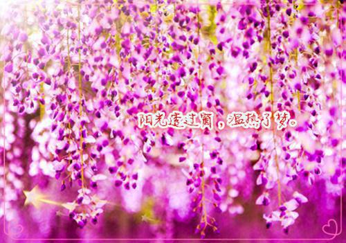 很温馨的生日祝福