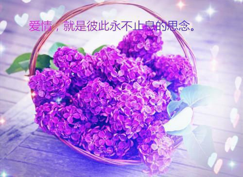 精辟的感悟人生语录精选
