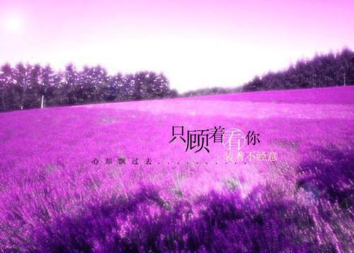 周一祝福短信：祝福语大全 周一