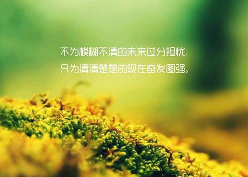 良医情话（苏暖江与）全文免费阅读无弹窗大结局_良医情话全文免费阅读_笔趣阁（良医情话）