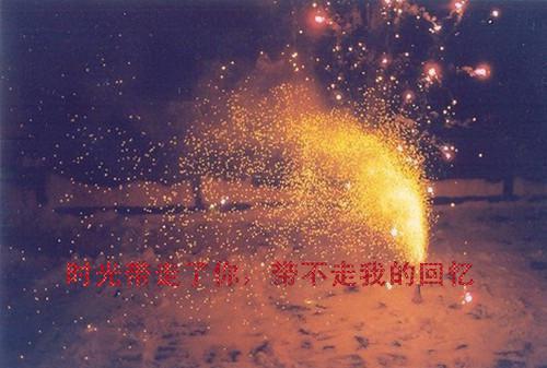 坚持成功的故事精选