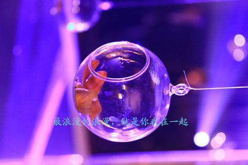 幼师实习报告总结