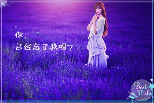 一口气读完三次之后，再也不见沈之仪方俊韩旭：结局+番外_(三次之后，再也不见沈之仪方俊韩旭：结局+番外最新章节列表_笔趣阁)沈之仪方俊韩旭三次之后，再也不见全文+后续