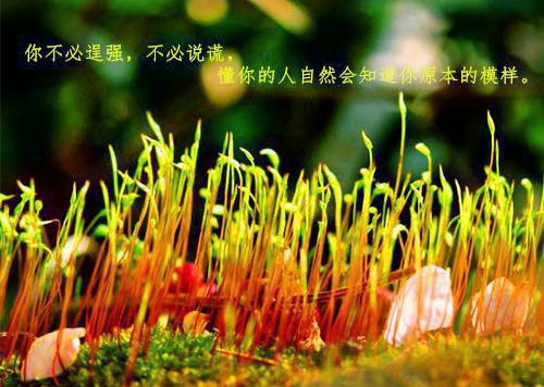 【精品】员工辞职报告模板集合十篇