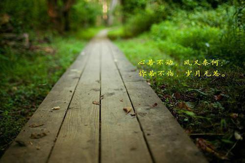 【热门】外联部工作总结四篇