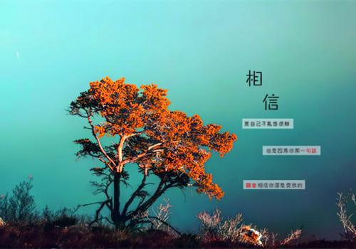大学生三下乡活动个人总结