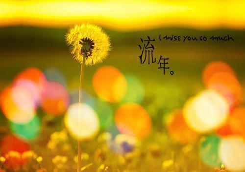 消防设备安装合同范本