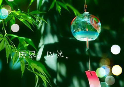 思念纷飞，一路向北小说叫什么(沈怀南苏冉冉)小说全集阅读无广告（思念纷飞，一路向北）番外+续集