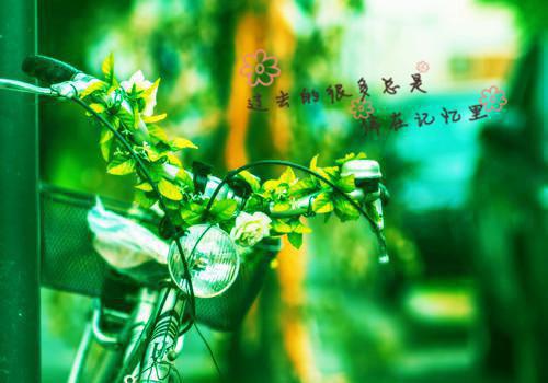 500字正能量散文