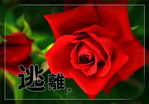 最新土木工程认识实习报告范文