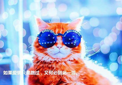 儿童睡前故事《懂礼貌的小兔》