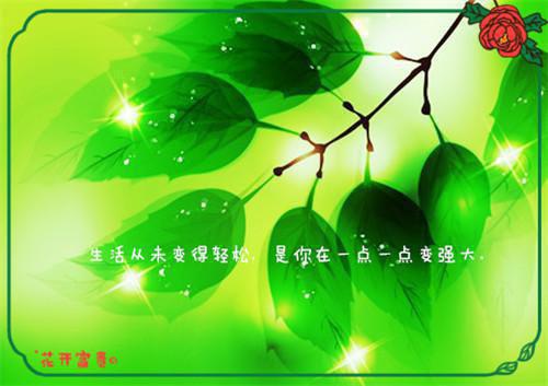 安全部工作人员的辞职报告