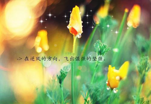 成功的商业营销案例