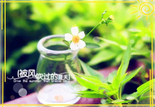 山色遥连秦树晚，砧声近报汉宫秋。