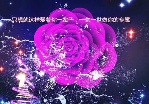 与真诚有关的名人名言