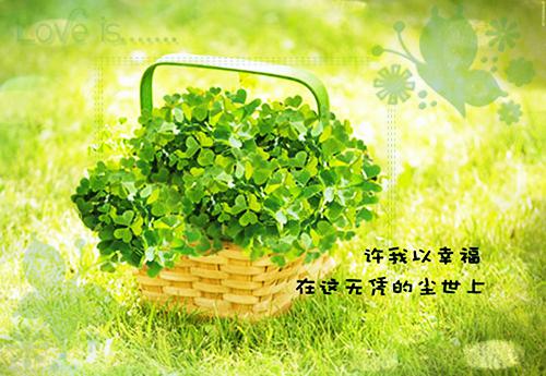 上司送别祝福语大全