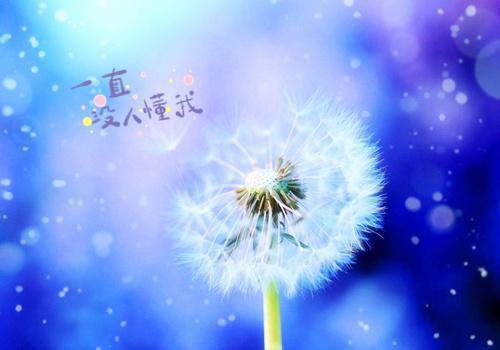 有多少爱可以重来