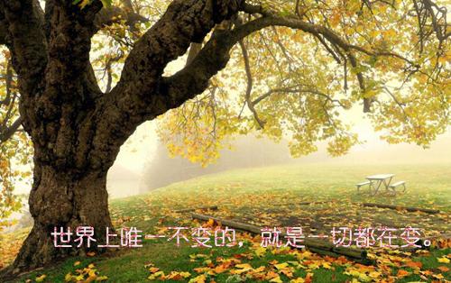 （那年花开月正圆：外番+全文无广告小说）在线阅读-宋时昭凌择霄精彩小说那年花开月正圆：外番+全文无广告小说全文赏析