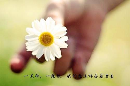 保姆辞职报告