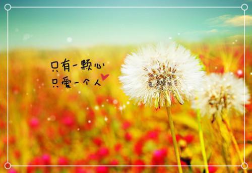 爱神丘比特的神话故事