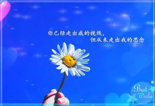 铁道施工与养护专业毕业生求职信范文