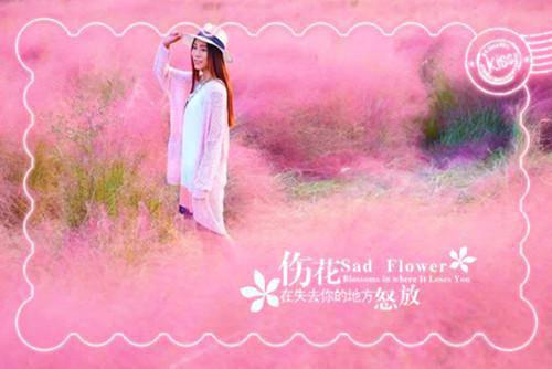 (番外)+(全文)全网独家（逼婚言情文男主后，穿越女她杀疯了：全文+后续）权明赫沈毓灵完整章节已完结阅读_逼婚言情文男主后，穿越女她杀疯了：全文+后续最新章节列表_笔趣阁（权明赫沈毓灵）
