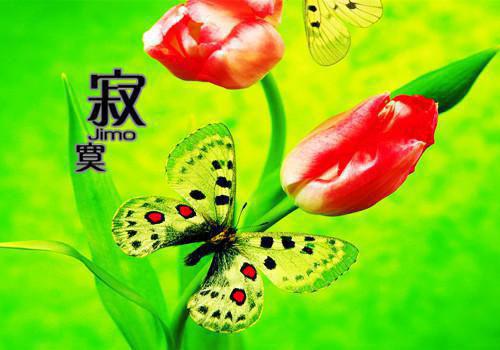 经典的爱情名言名句语录爱情哲理名言经典语录