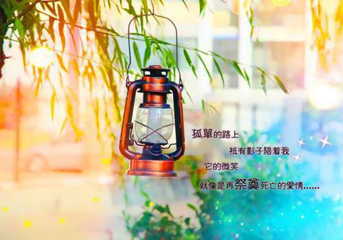 物业后勤工作总结