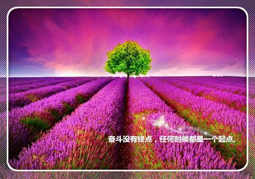 高三毕业典礼主持人台词