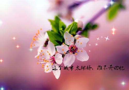 浮萍情动（绪如微聂寒山）全文免费阅读无弹窗大结局_（浮萍情动）绪如微聂寒山免费阅读无弹窗最新章节列表_笔趣阁（浮萍情动）