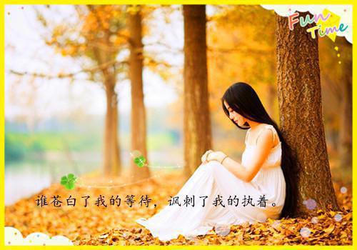 周杰伦歌词大全