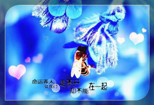 河边的爱情寓言
