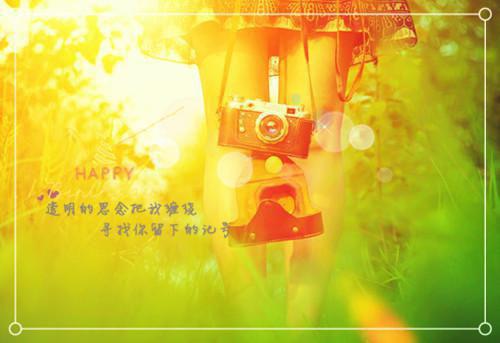 教研员年度工作总结
