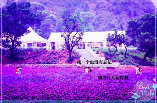 林书豪打篮球励志文章