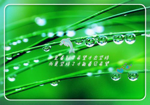自编童话故事500字大全