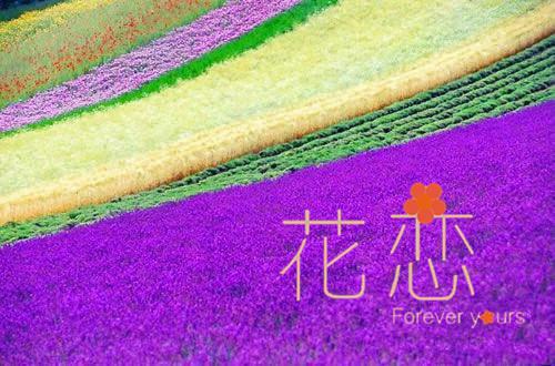 目标与成功的故事有哪些