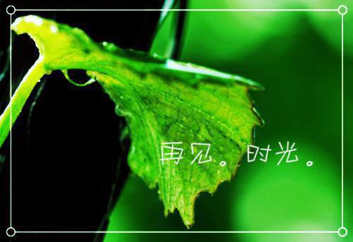 宋清绫：结局+番外免费品鉴(古代天灾：乱世独自逃荒日常)全书在线无广告高口碑小说
