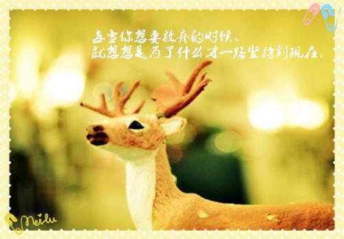 qq空间伤感语录