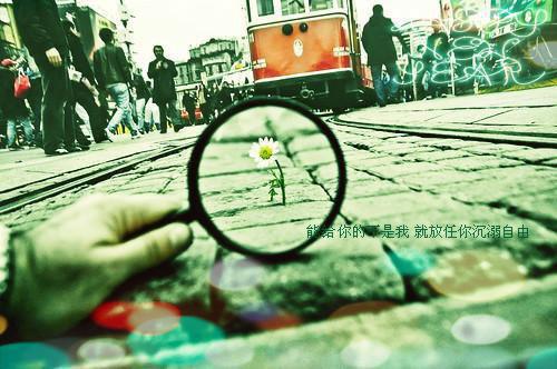 简短的教师辞职报告范文