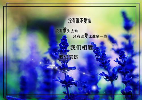 关于简单辞职报告模板集合5篇