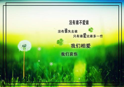 经典宝宝睡前故事