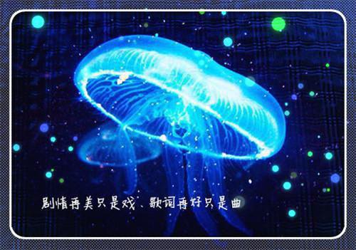 人生感悟文章：换一个角度