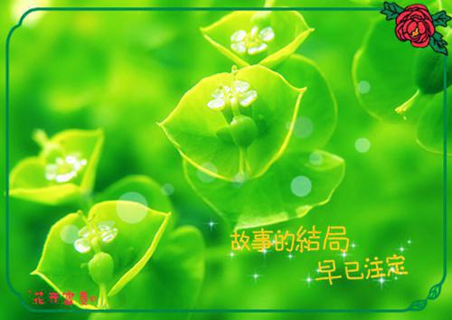 冉冉小说叫什么名字_无情笑意全文免费阅读