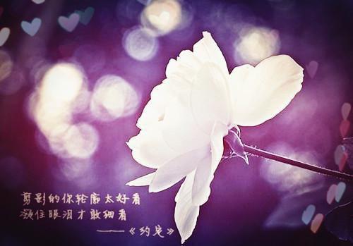 有趣的爱情故事:疯女人